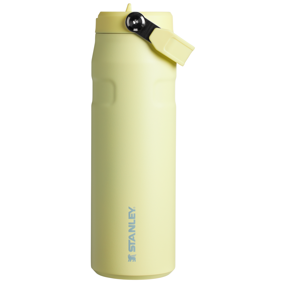 The IceFlow™ Bottle with Flip Straw Lid | Stanley Create